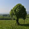Awatar użytkownika