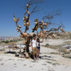Awatar użytkownika