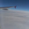 Awatar użytkownika