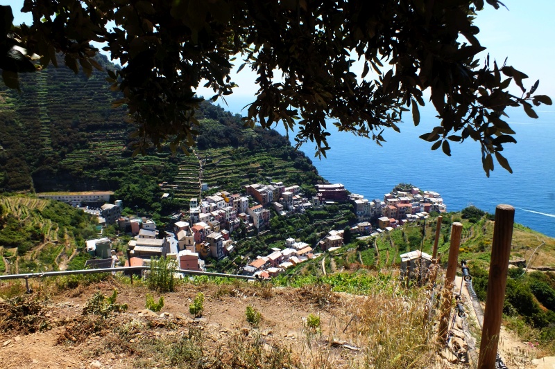DSCF6150.jpg