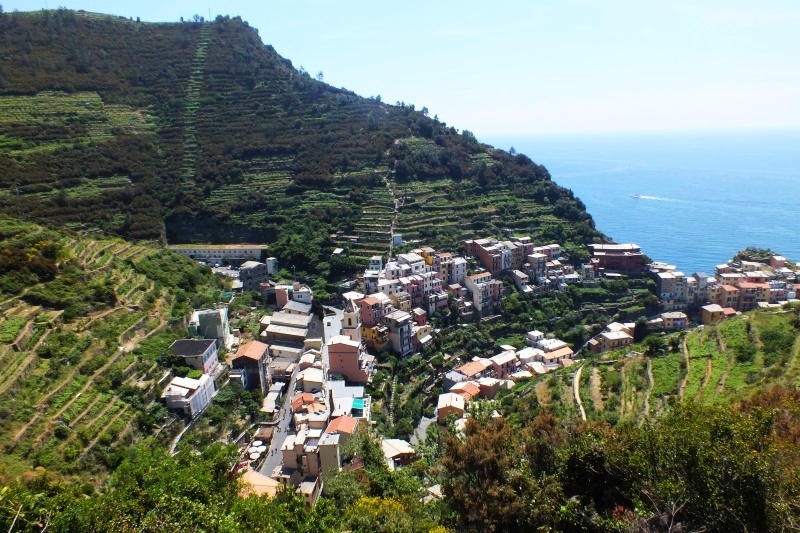 DSCF6147.jpg