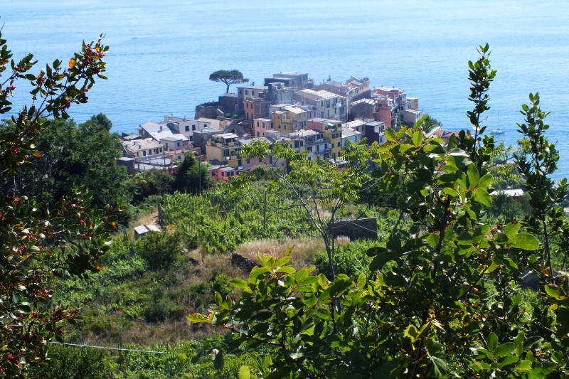 DSCF6215.jpg
