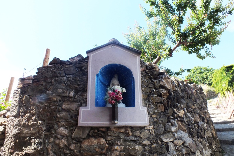 DSCF6221.jpg