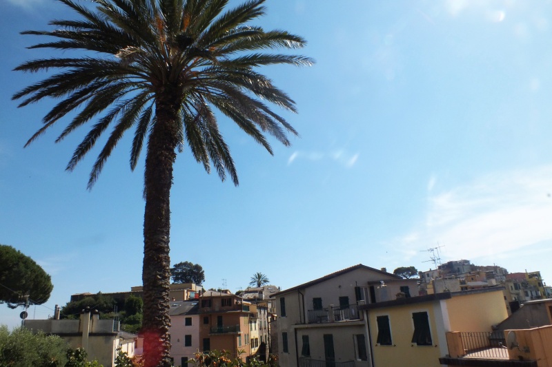 DSCF6223.jpg