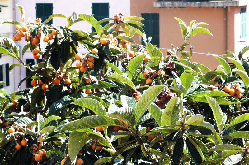 DSCF6224.jpg
