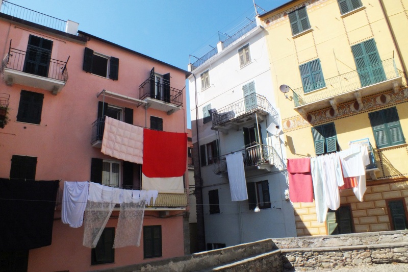 DSCF6227.jpg