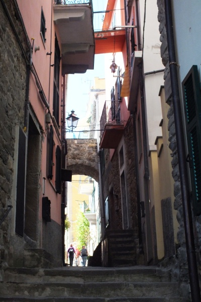 DSCF6228.jpg