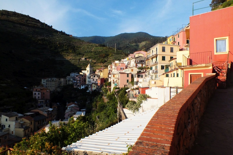 DSCF6238.jpg