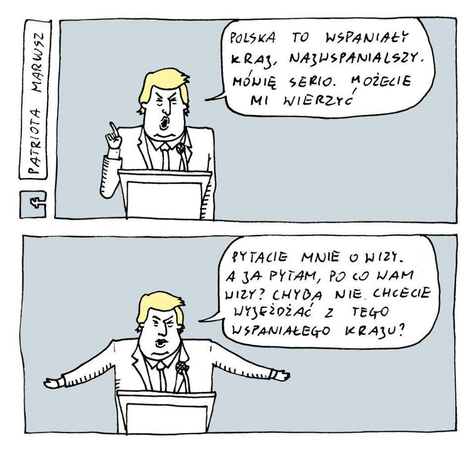 wiza.jpg