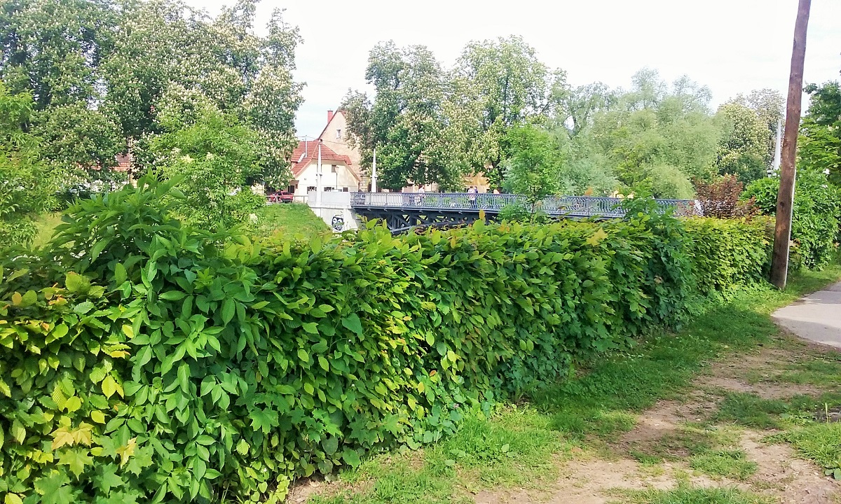 ziel 2.jpg