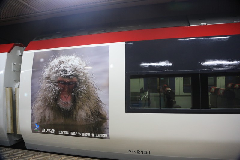 813A4636.jpg