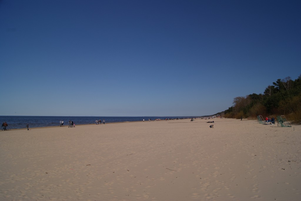 DSC08275a.jpg