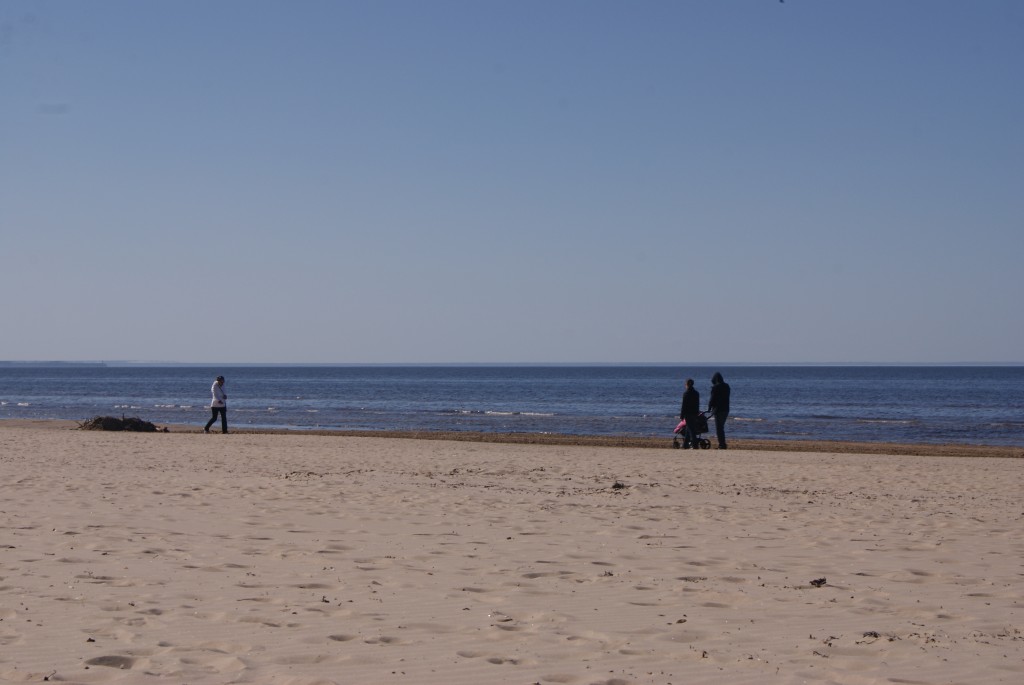 DSC08285a.jpg