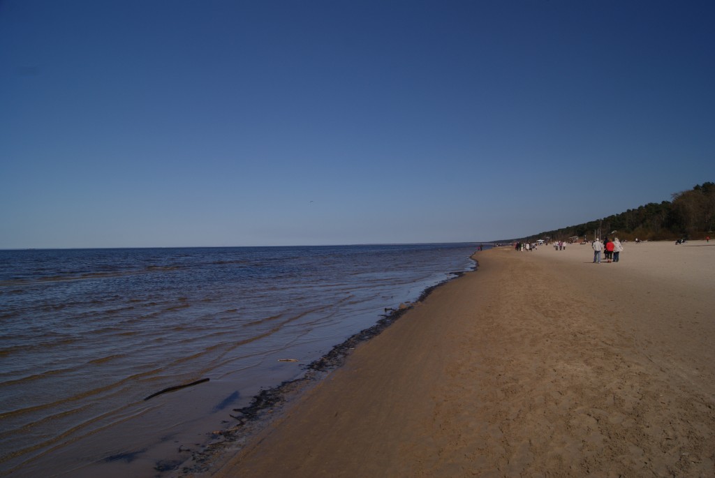 DSC08279a.jpg