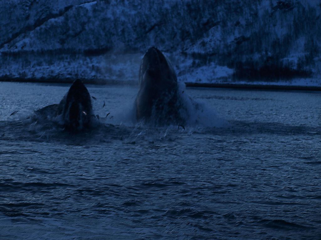 Tromso 0301.JPG