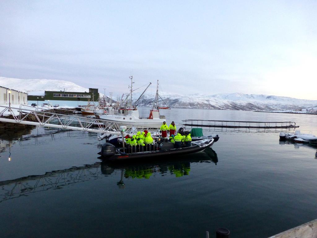 Tromso 0339.JPG