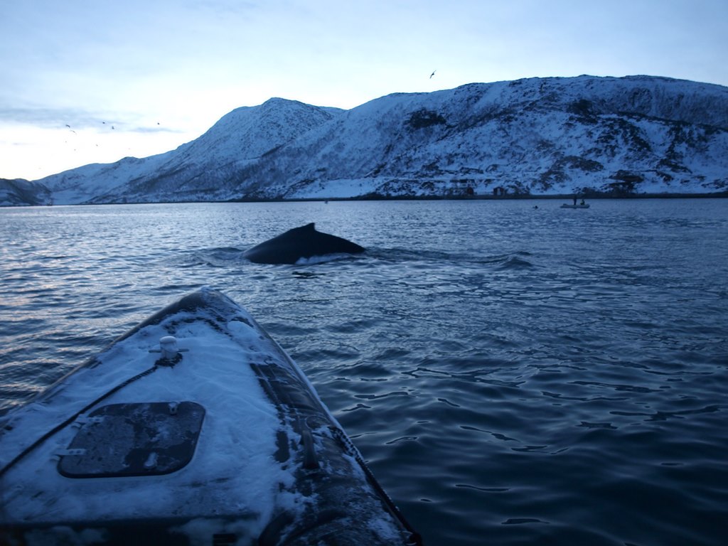 Tromso 0325.JPG