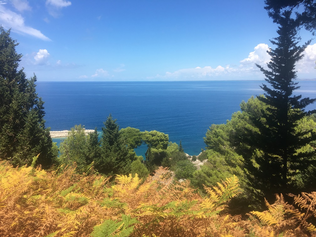 View.JPG