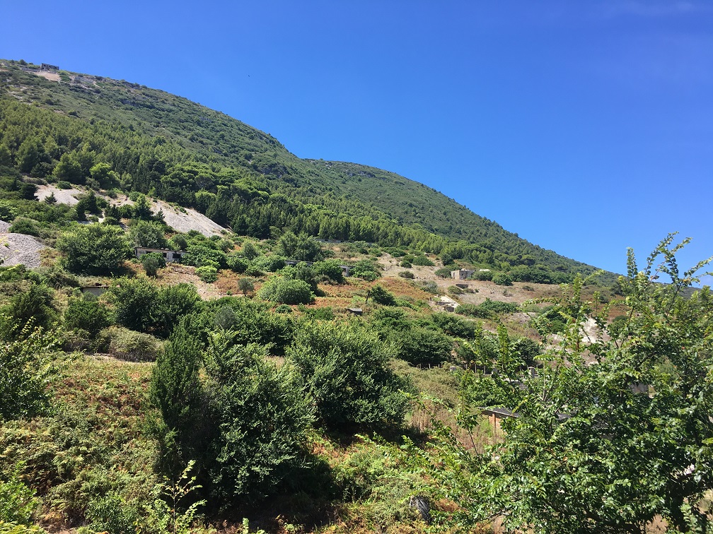 View1.JPG