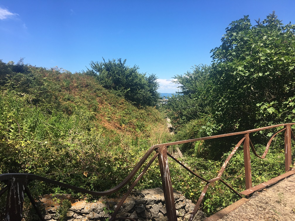 View3.JPG