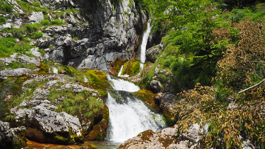 P7110334.JPG
