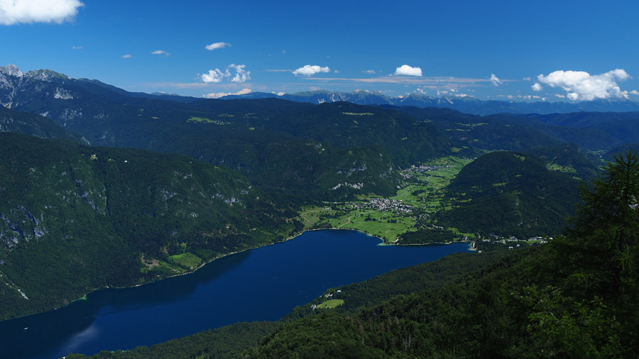 P7120375.JPG