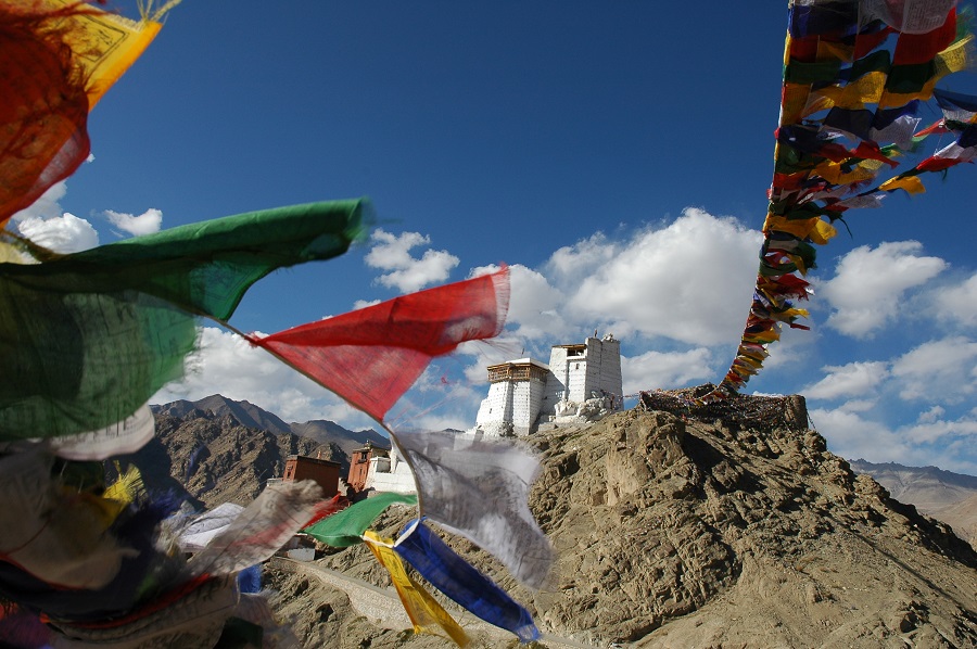 leh2.jpg