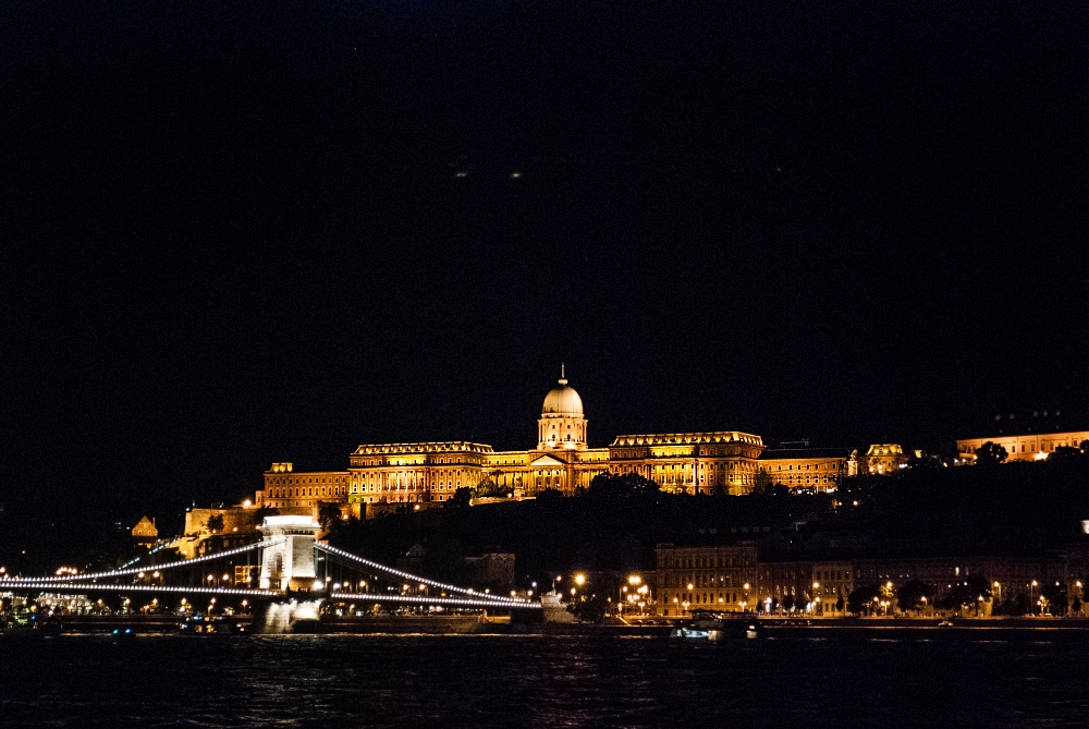 DSC_0407.jpg