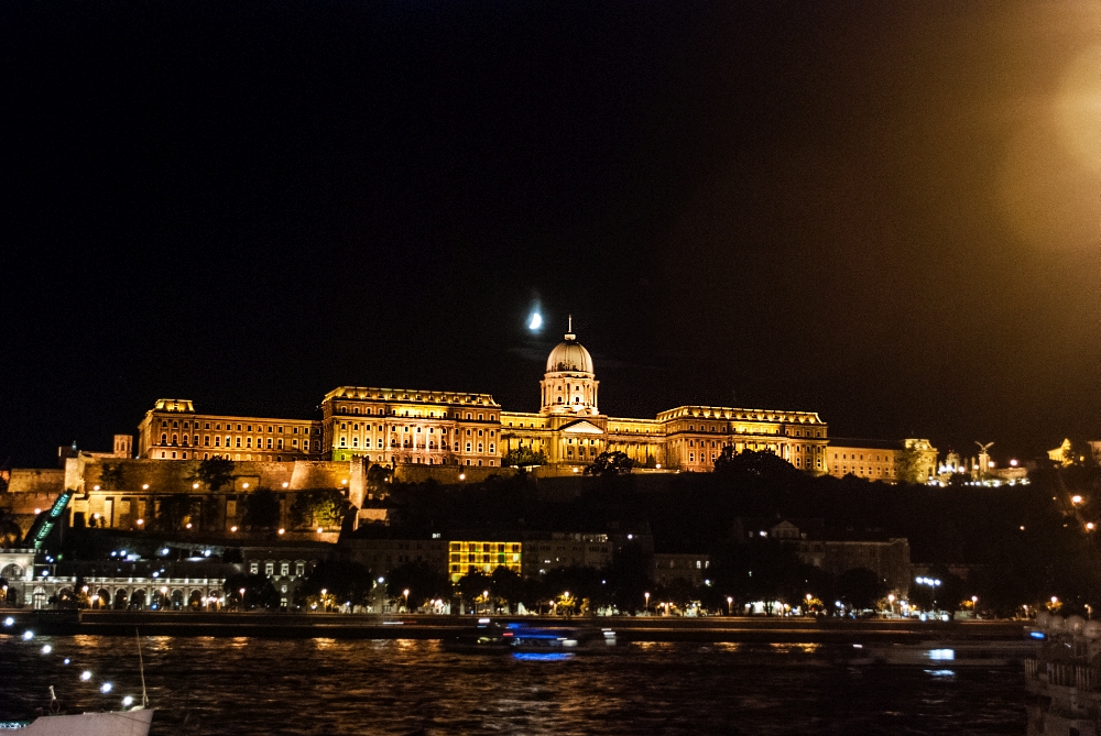 DSC_0426.jpg