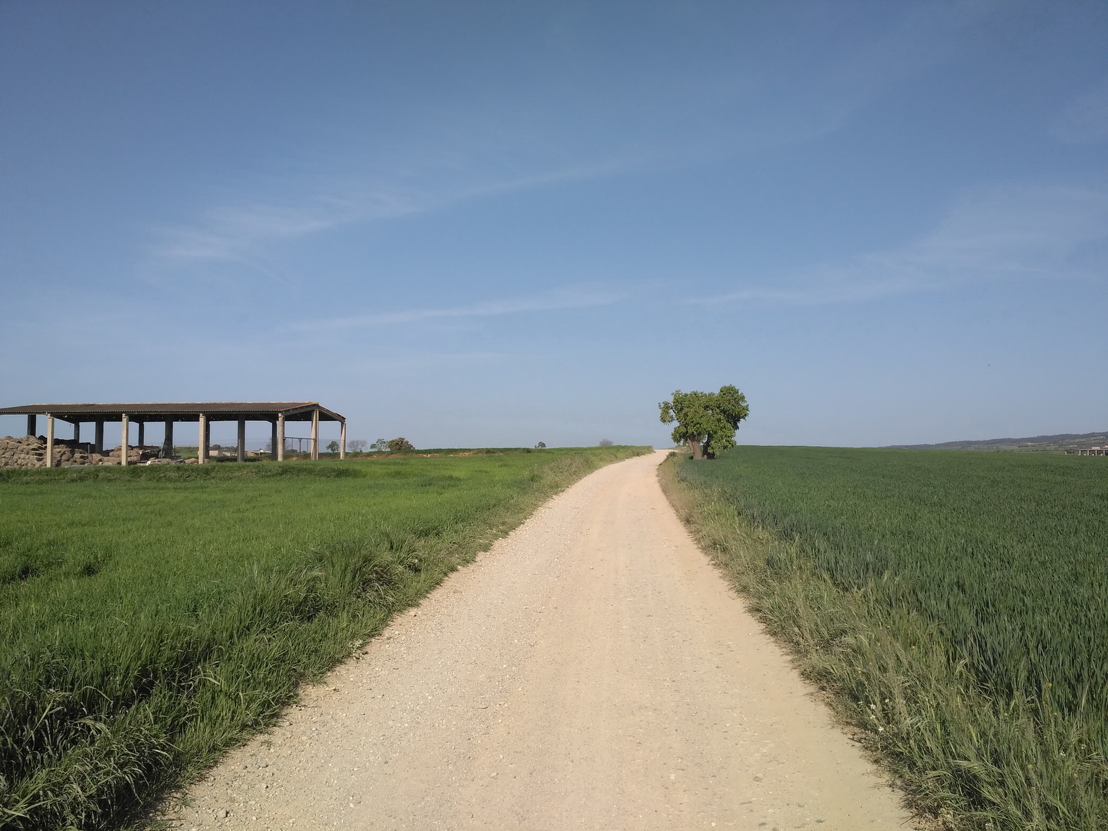 bici8.jpg