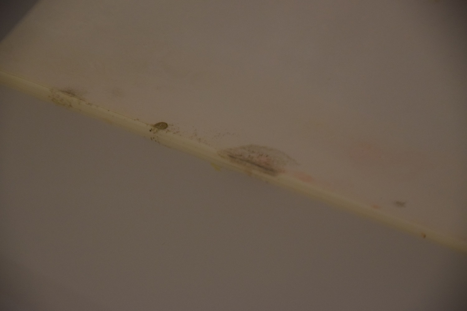 DSC_0527.jpg
