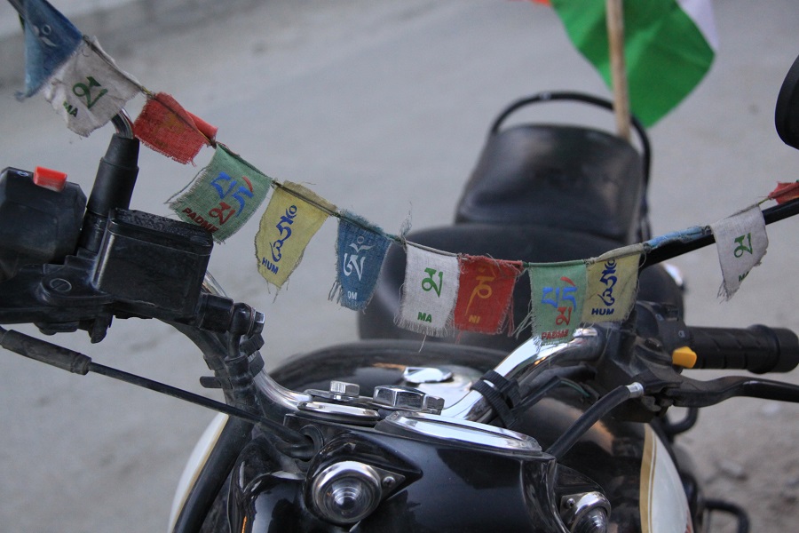 leh5.jpg