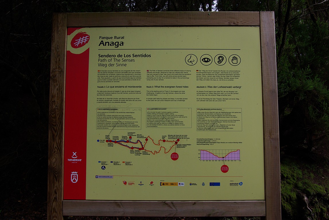 IMGP8166.jpg
