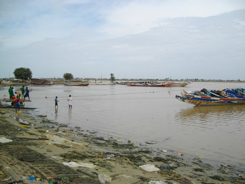 IMGP2694.JPG