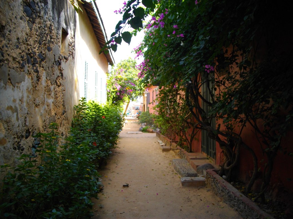 IMGP2894.JPG