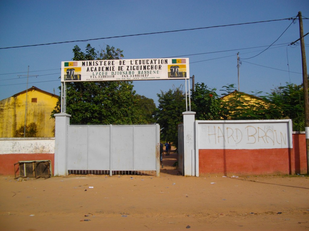 IMGP3010.JPG