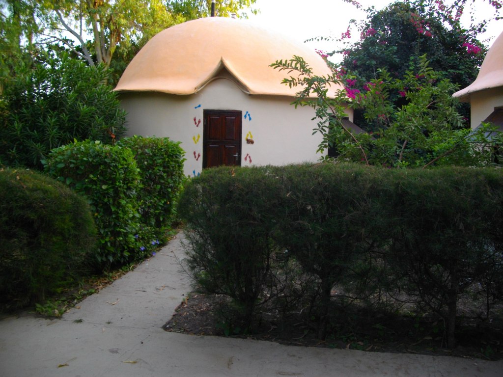 IMGP3128.JPG