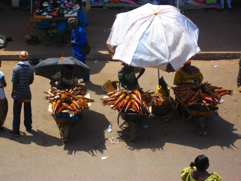 IMGP3144.JPG