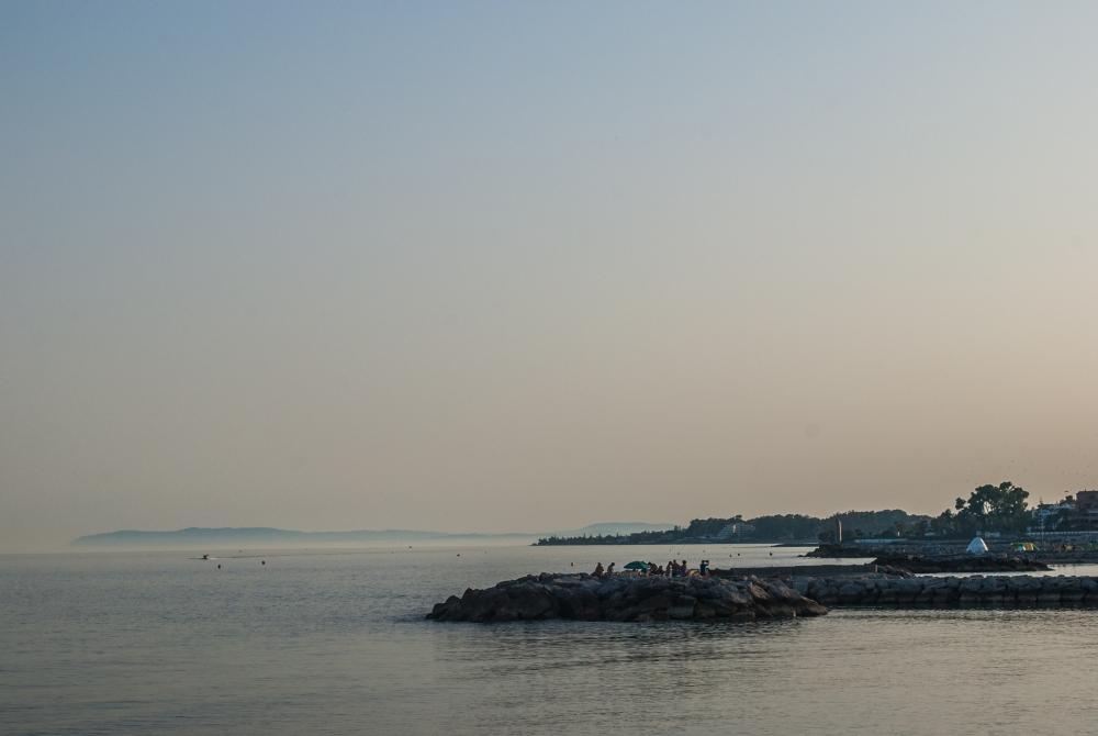 DSC_0315.jpg