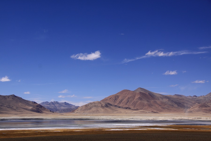 leh14.jpg