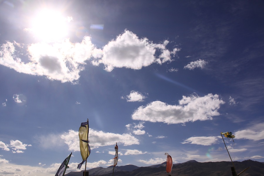 leh16.jpg