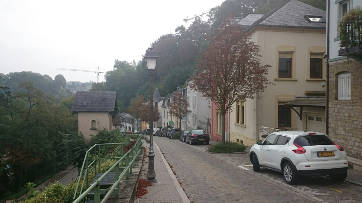 DSC_0309.jpg