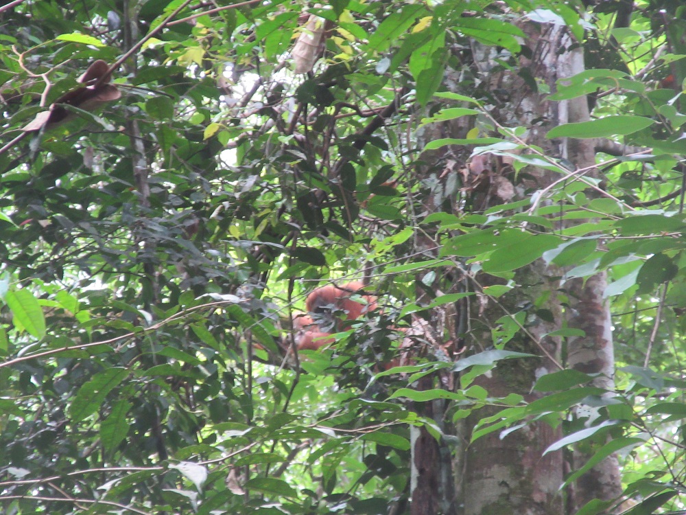IMG_2359.JPG