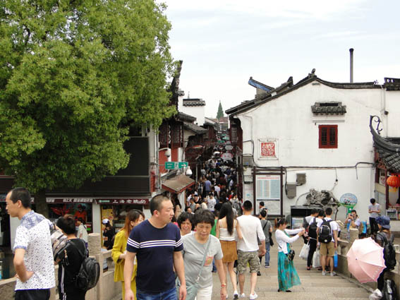 DSC05886.jpg