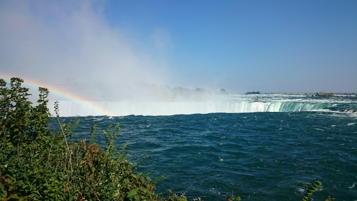 DSC_0558.jpg