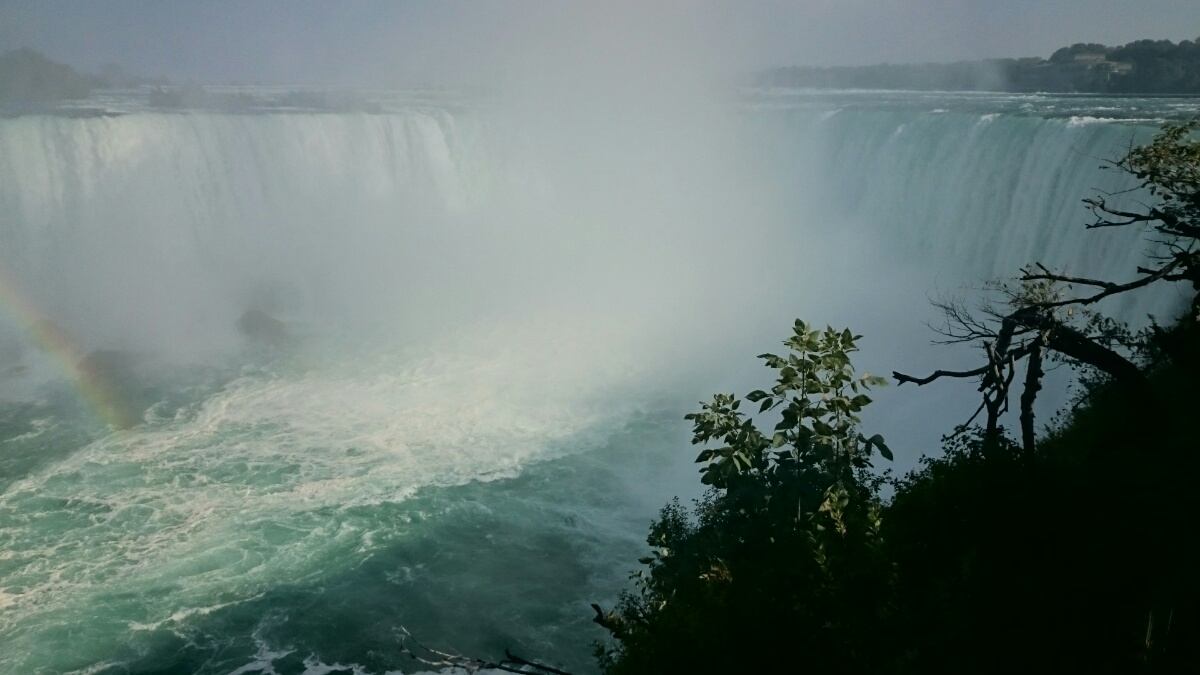 DSC_0602.jpg