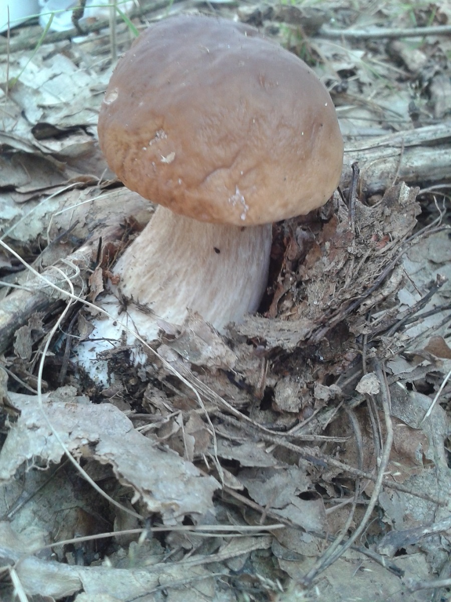 20170930_133448.jpg
