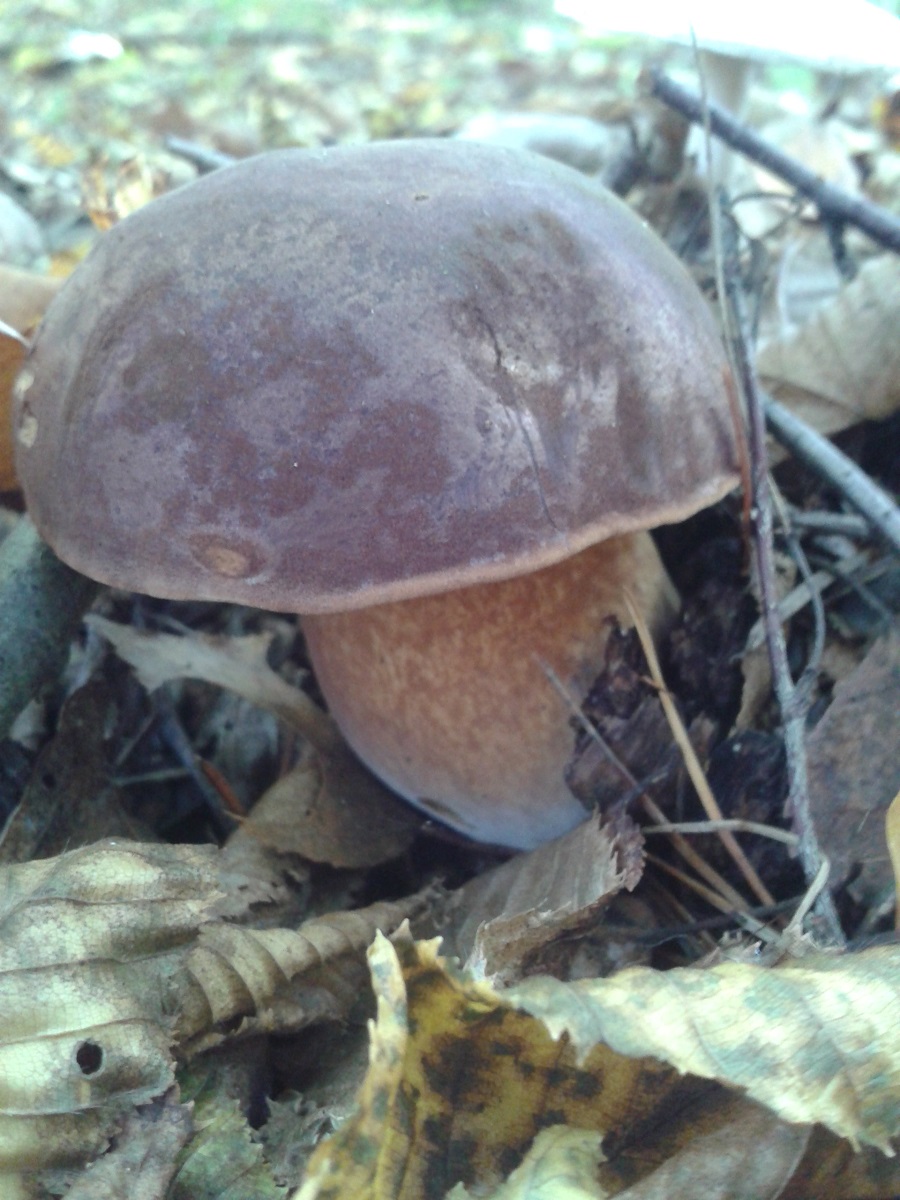 20170930_135628.jpg
