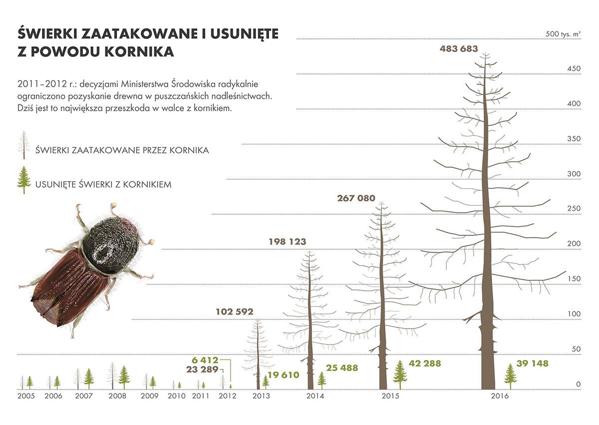 swierki-zaatakowane-i-usuniete-wykres.jpg