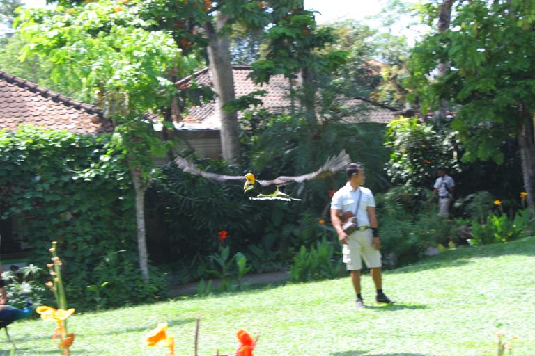 038-011.JPG